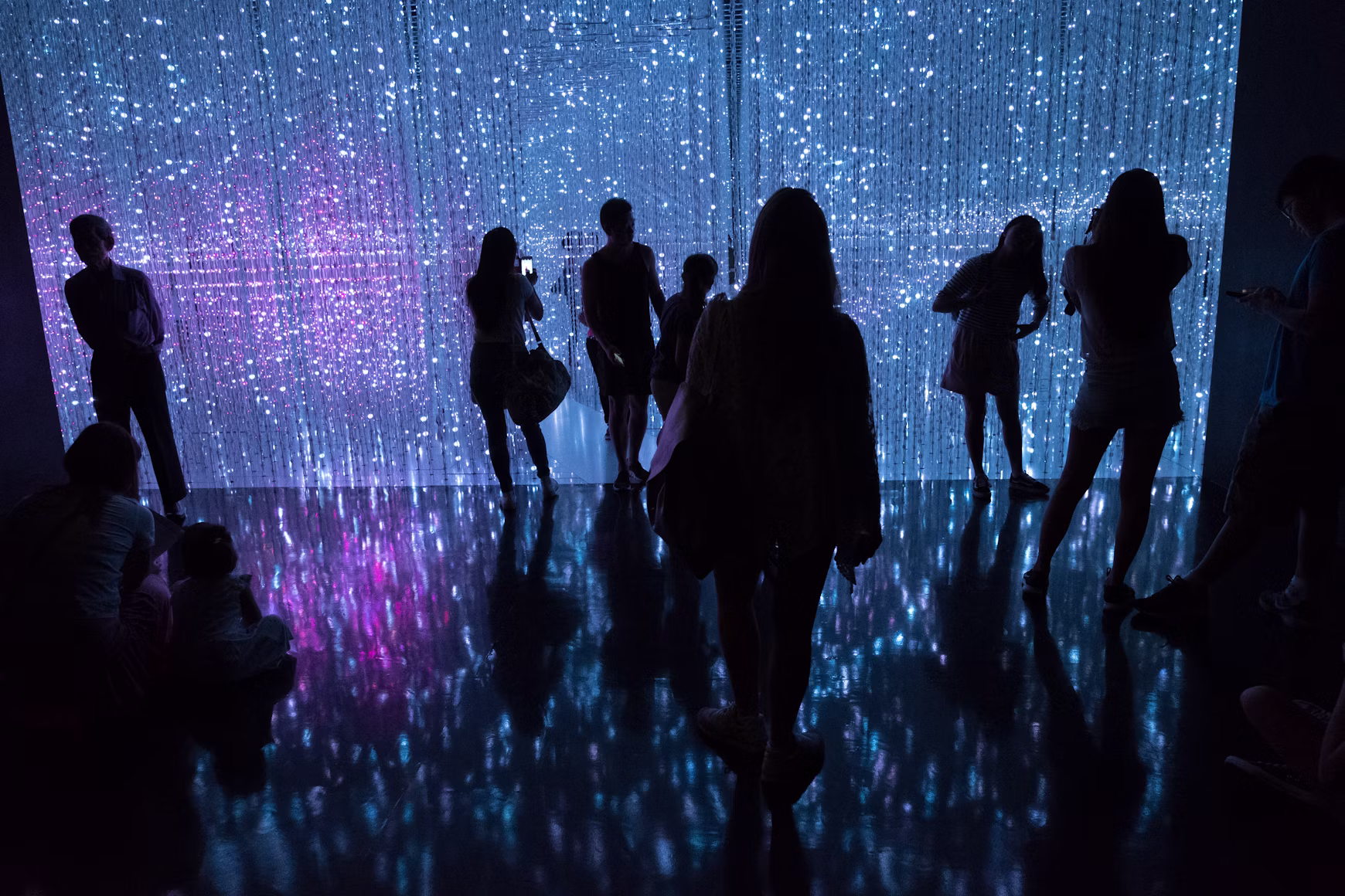 Visitors in silhouette inside an immersive installation of suspended lights, blue and violet.